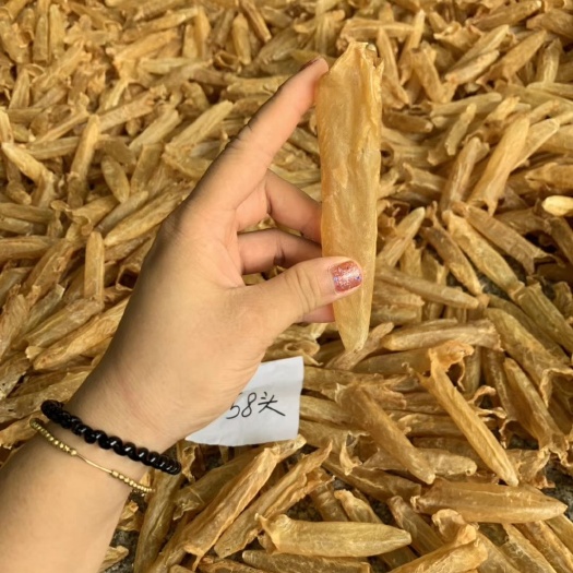 阳江鱼胶 黄花筒 60头，懂货的美人👸都知道选这款，每天吃它都不心疼
