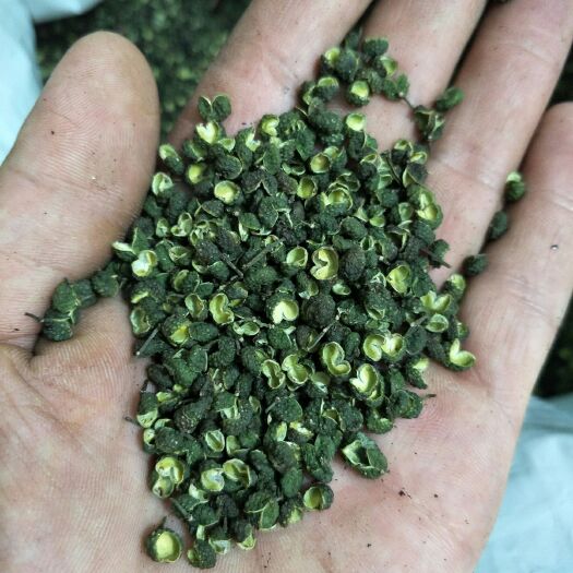 重庆市 正宗江津青花椒特级货自家农场种植