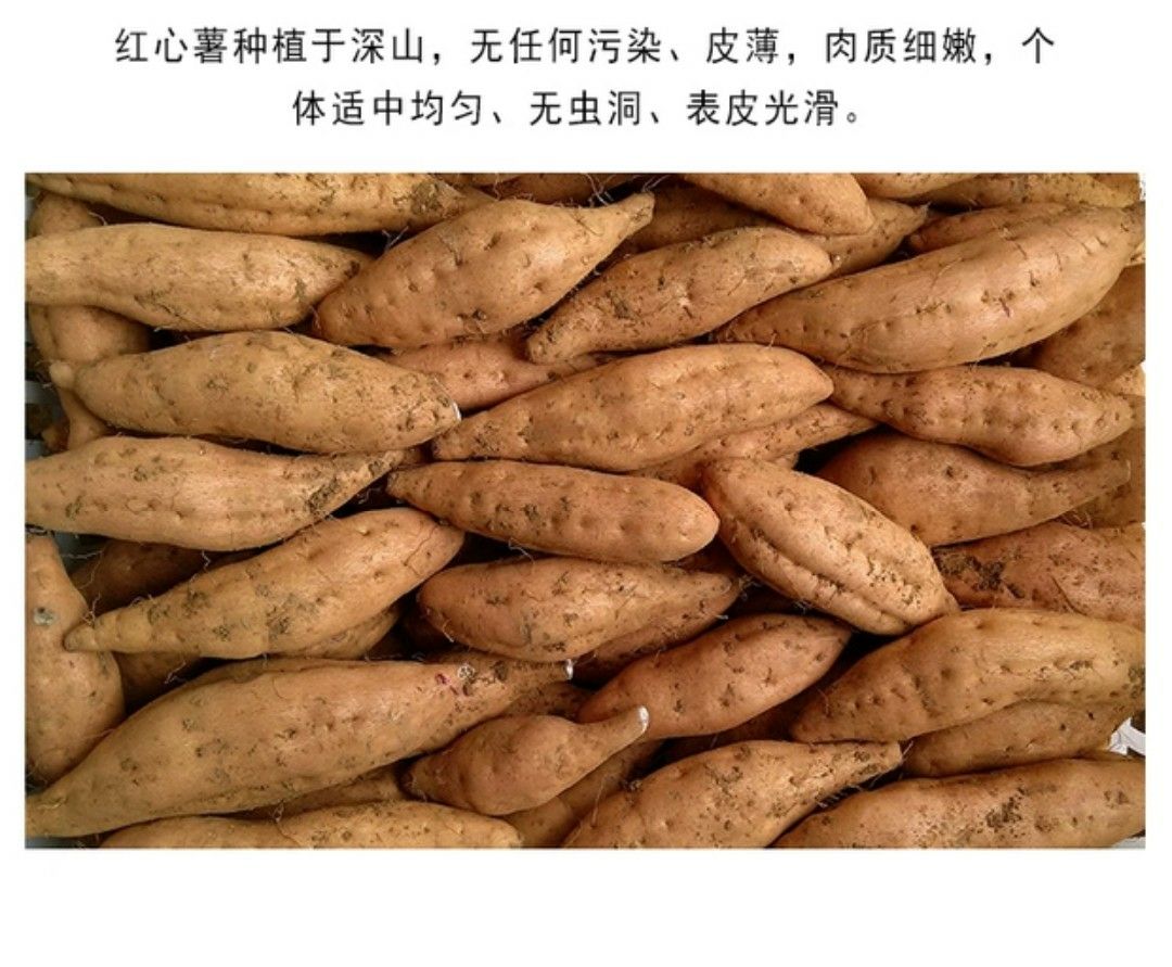 紫云红心红薯 贵州紫云红芯薯