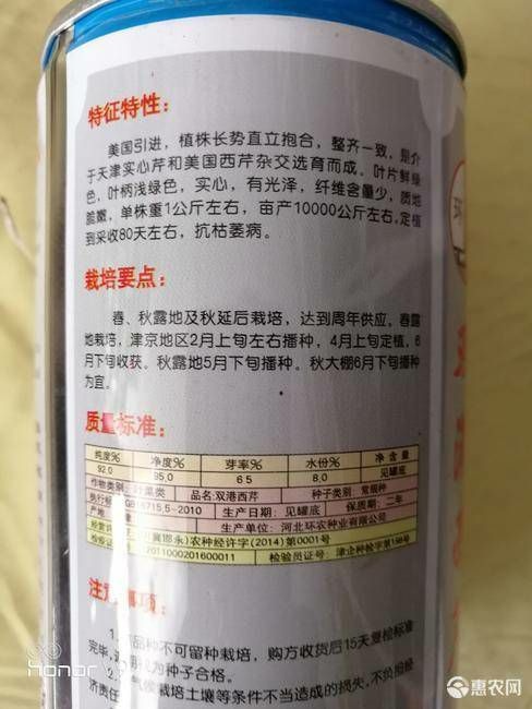 西芹种子双港西芹，