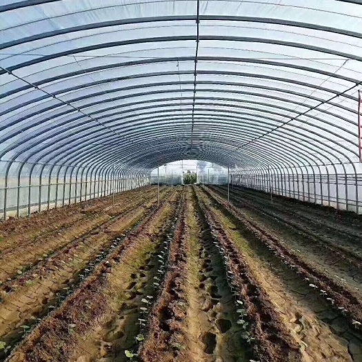 常熟市椭圆管骨架 使用寿命长，运输安装方便，承重力好，跨度大成本低等特点