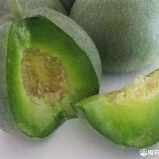 夏邑县绿宝石甜瓜种子
