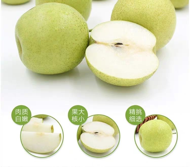  现货皇冠梨雪梨安徽砀山梨酥梨当季水果翠冠梨子新鲜整箱10斤