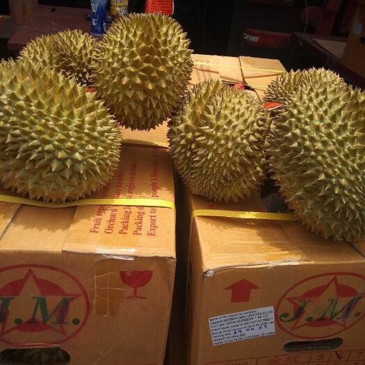 南京 泰国金枕榴莲