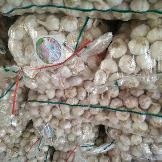 邳州市红皮蒜   邳州精品净蒜，各种大蒜小包装，量大从优 代发全国