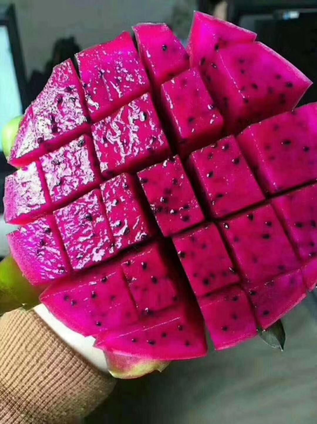 桂红龙一号火龙果
