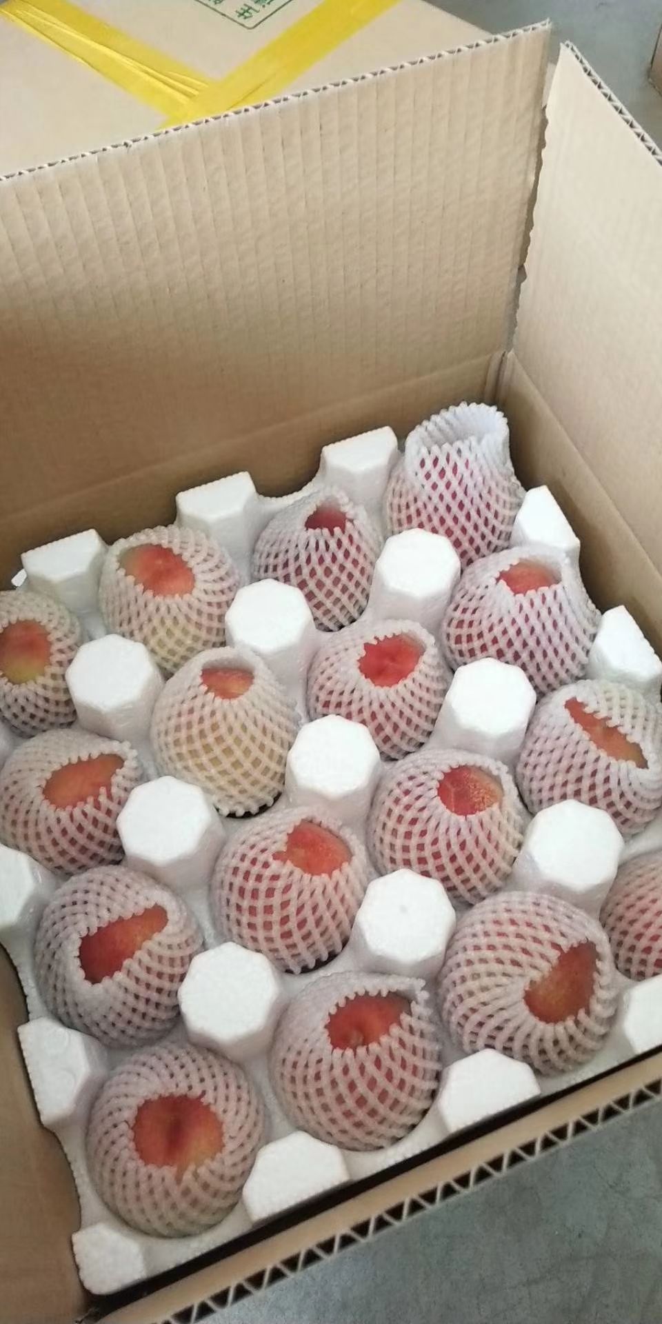 五月鲜桃 农家肥灌溉，口感脆甜