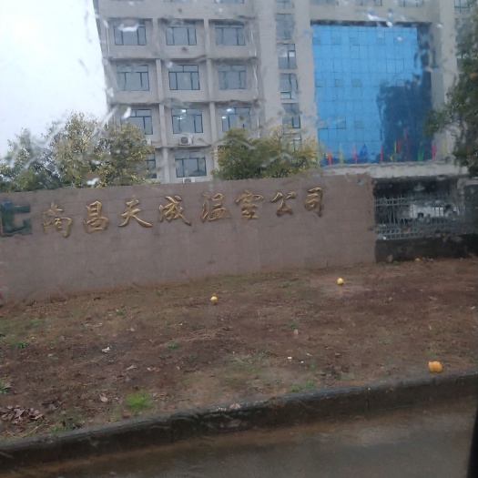 南昌蔬菜大棚 温室大棚设计安装，大棚配件，骨架出售