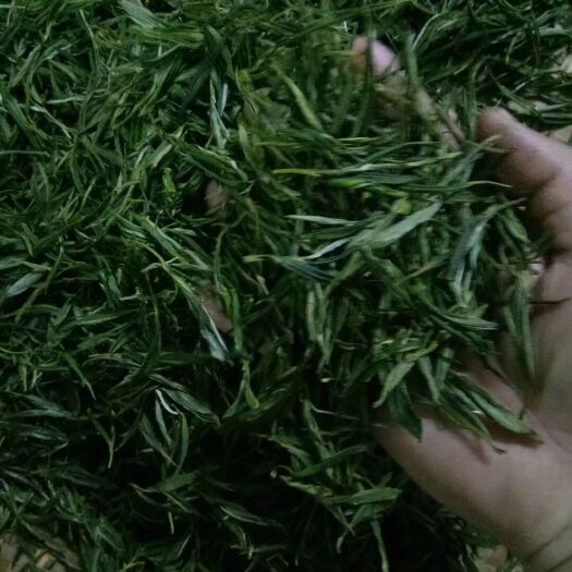 岳西县岳西翠兰 岳西翠尖翠兰槡枝木耳天麻