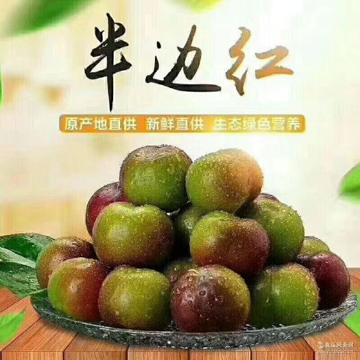 绥江县半边红李子 云南，绥江半边红，已经上市了，大果，中果，尝鲜小果，欢迎订单