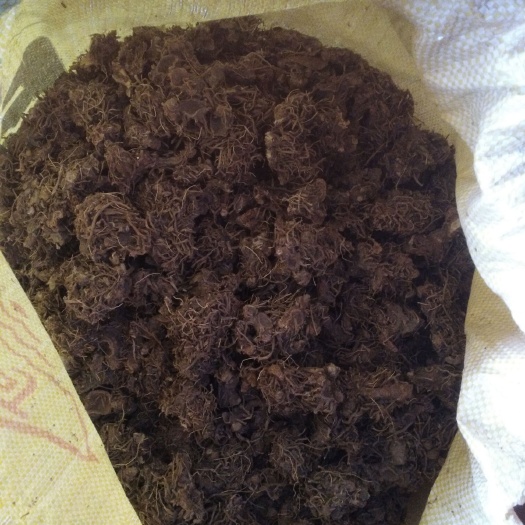 怀宁县射干 量大价格美丽