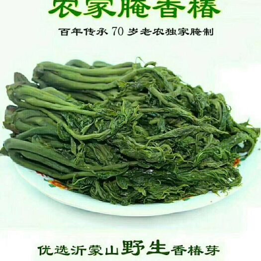 临朐县香椿酱菜 头茬香椿