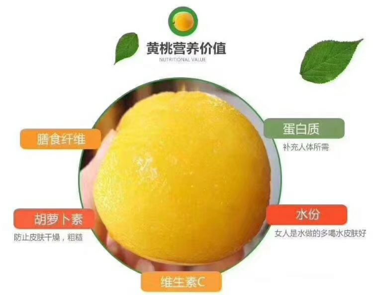 锦绣黄桃 中国国家地理标志保护产品！