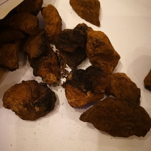 成都 因病好了，便宜出售桦树茸