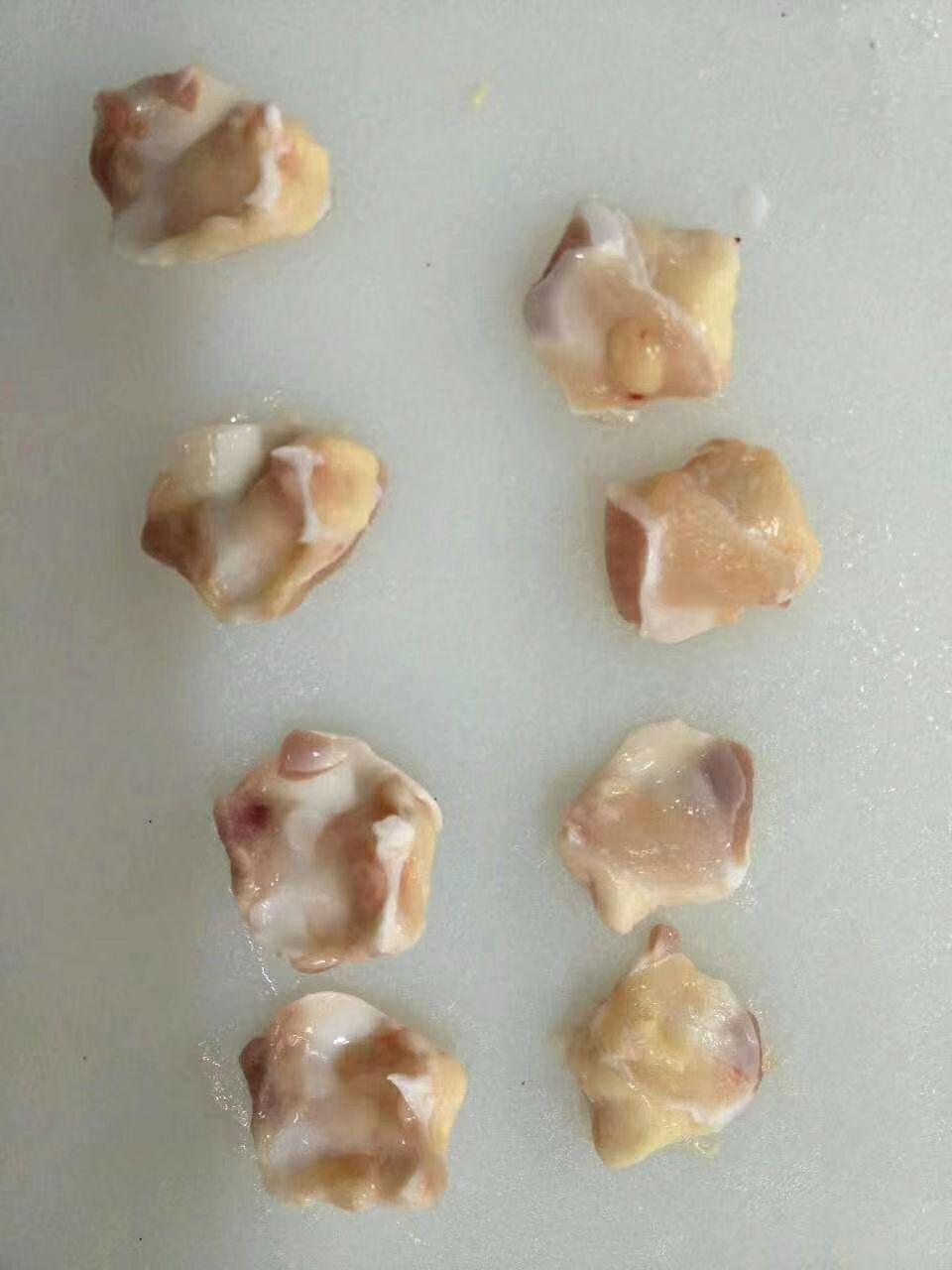  掌中宝  膝软骨