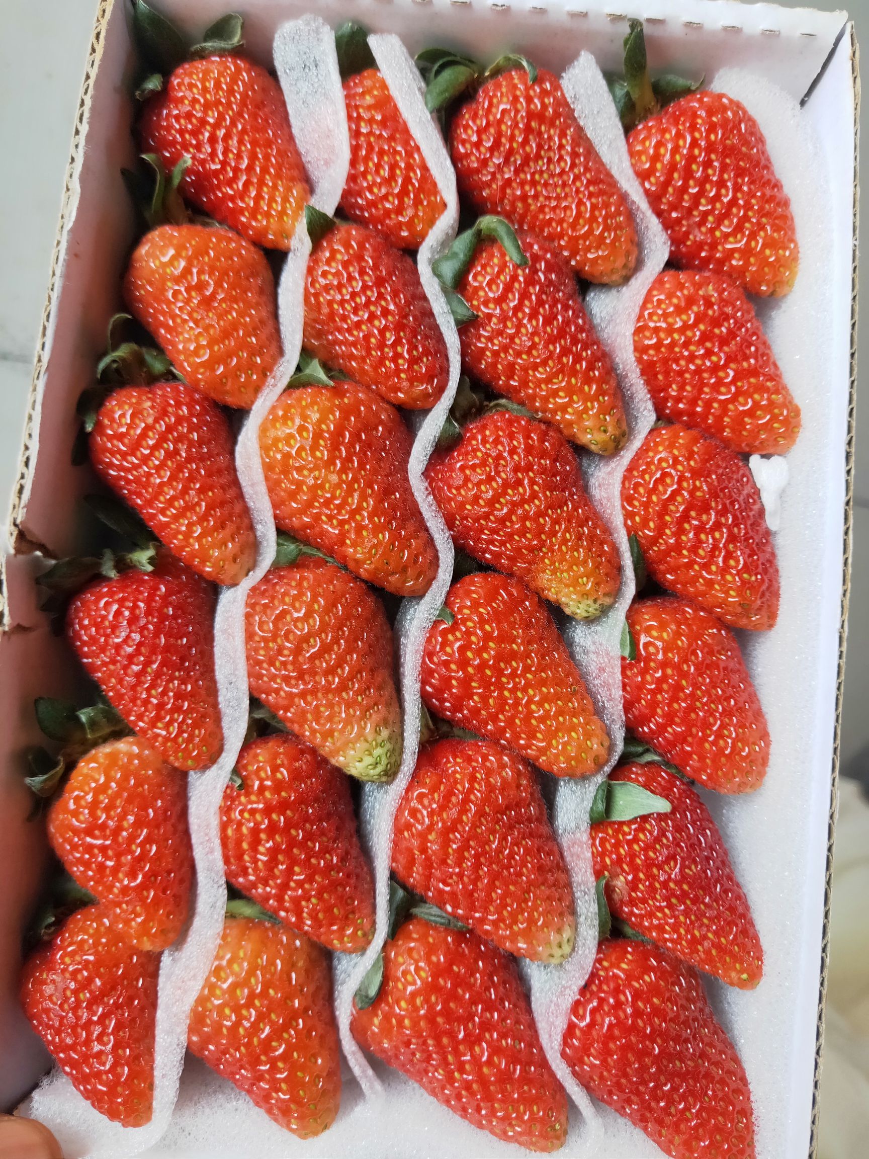 [蒙特瑞草莓批发]蒙特瑞草莓 30克以上价格9元/盒 