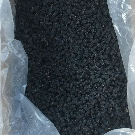 泊头市桑葚果脯