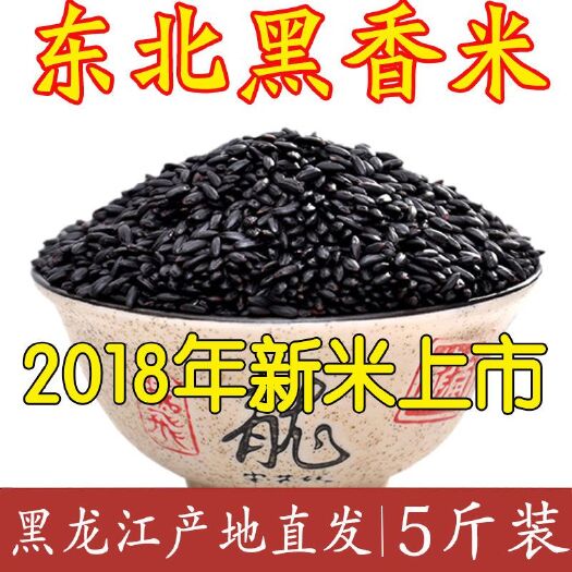 五大连池 新米东北农家黑米五斤装五谷粗杂粮黑香米粥5斤散装黑大米无染