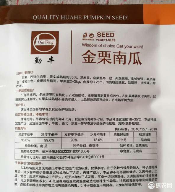 红板栗南瓜种子