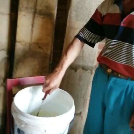 慈溪市土蜂蜜 家里闲着养的