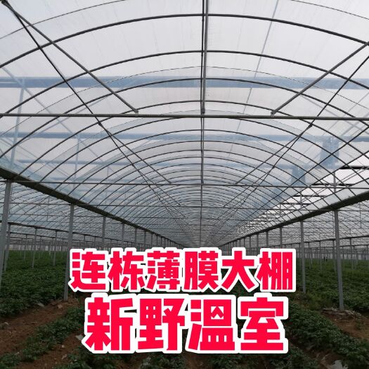 泊头市蔬菜大棚 承建各种大棚！出售各种大棚配件