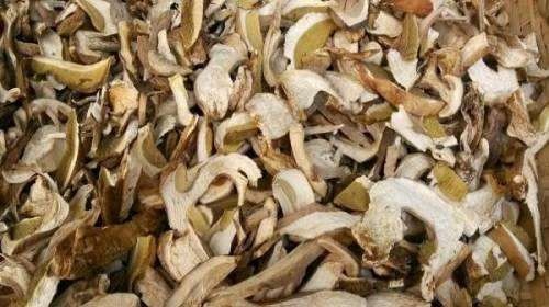 齐齐哈尔 东北野生牛肝菌