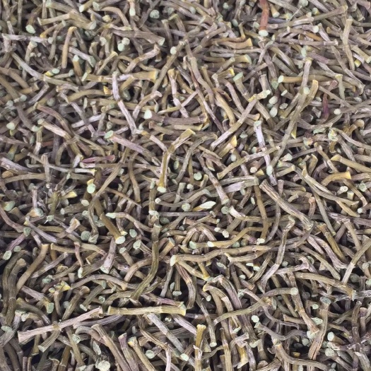 嘉兴 铁皮石斛寸金条   下单可帮忙磨粉