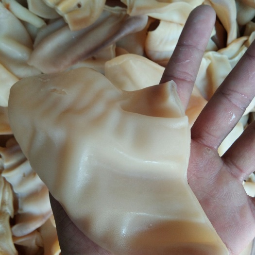 阳信县 熟牛耳片，耳丝，凉拌，厂家直销