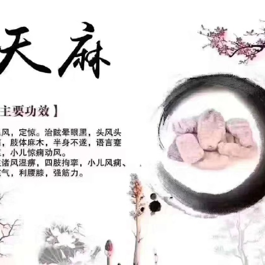 抚松县【下单联系商家】天麻 长白山产地批发乌红天麻