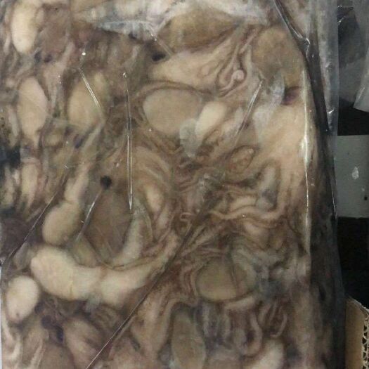 苏州 健康食材八爪鱼