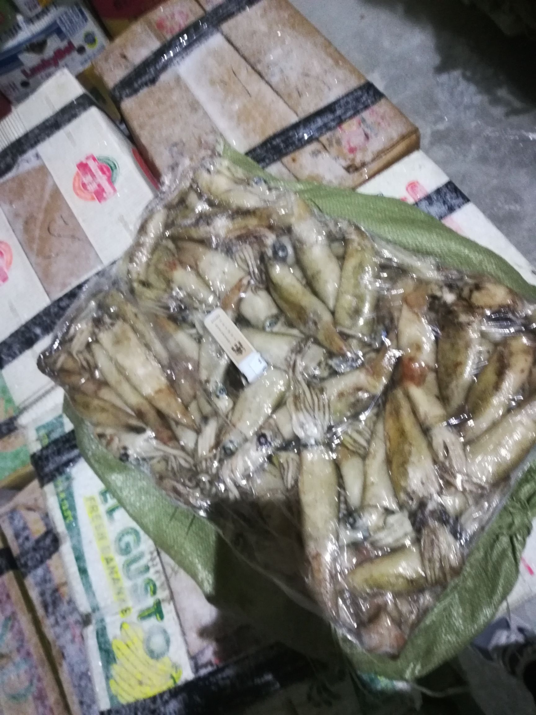  鱿鱼