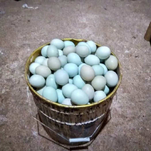 崇仁县绿壳鸡蛋 食用 箱装