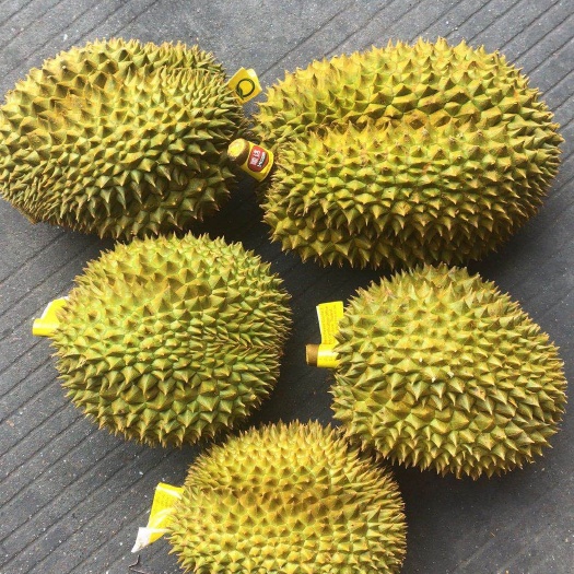 凭祥市 泰国金枕榴莲批发与一件代发