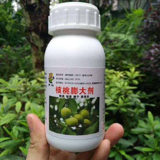 膨大素  农伯 核桃坚果专用膨大剂生长调节剂营养液 榛子板栗