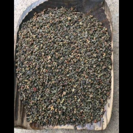 青岛吴茱萸种子 吴茱萸