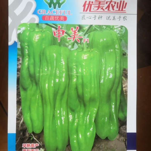 商水县薄皮辣椒种子 薄皮泡椒