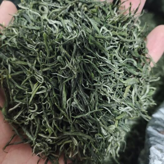 古丈县黄金茶  明前茶黄金一号
