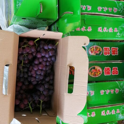 南宁水果礼盒，纸