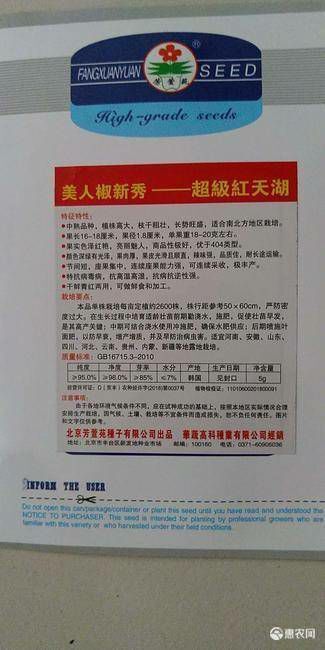 美人椒种子