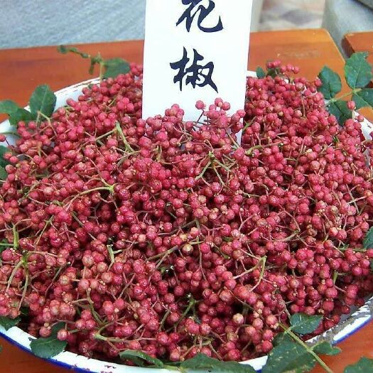 富平县 花椒大红袍花椒