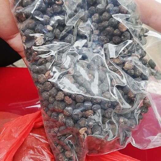 宁远县地下明珠 19年新产茅膏菜、地下名珠，