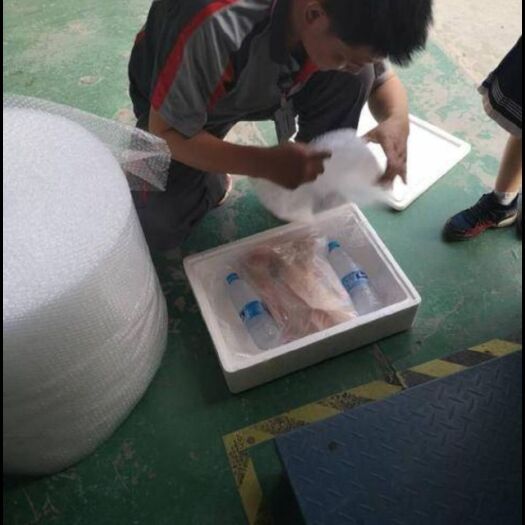 襄樊鹅肉类  白条鹅，专业宰杀，新鲜批量冷链配，送理想的供应货源地
