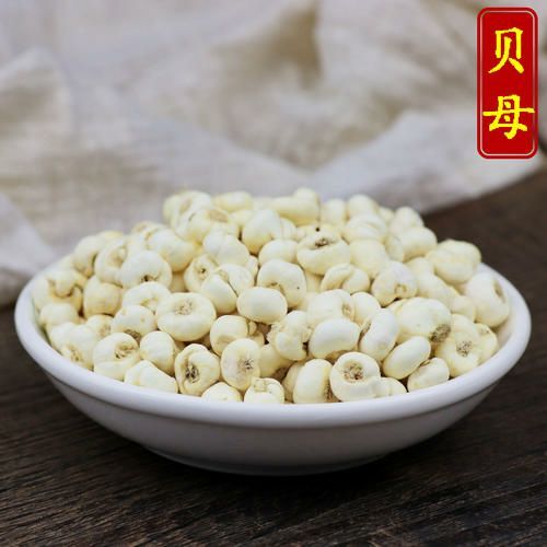  批发，零售！正品特级 平贝母！无硫货！