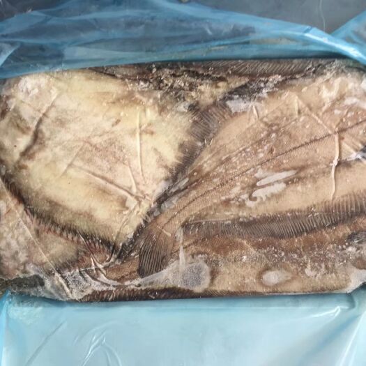 青岛 比目鱼～灰鲽