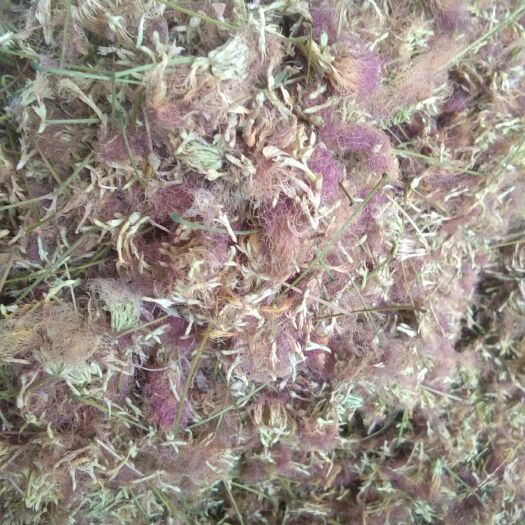 聊城 中药材合欢花人工精选芜杂质
