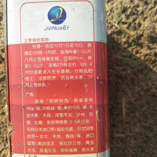 尉氏县葱苗