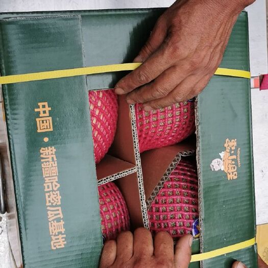 乐东县 精品新疆哈密瓜、西州蜜25号、西州蜜17号