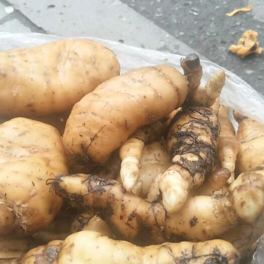 茂县 纯正天麻
