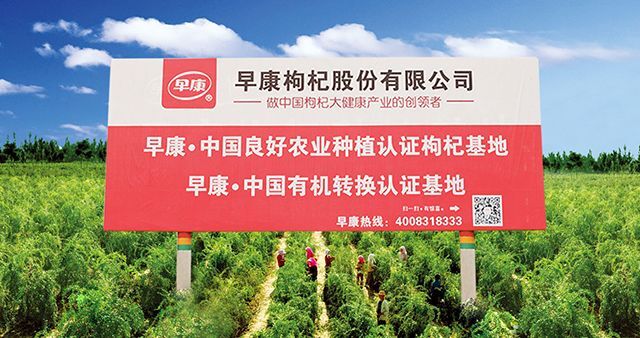 中宁县 宁夏中宁县自控有机枸杞种植基地长期直供各类有机枸杞