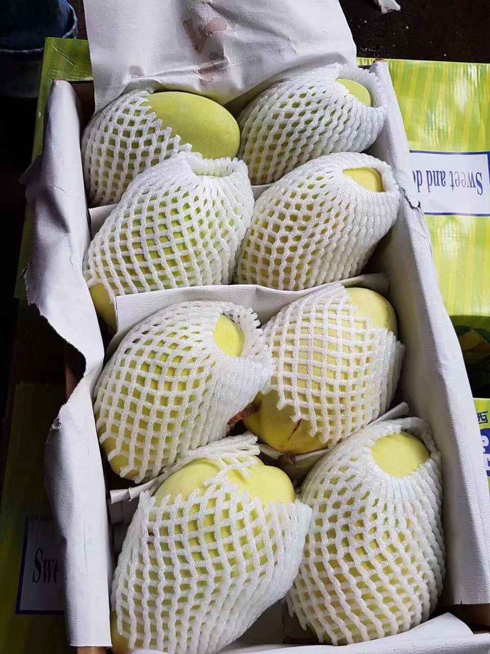 凯特芒 攀枝花果 支持整车出货